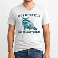 It Is What It Is And It Is Not Great V-Neck T-Shirt