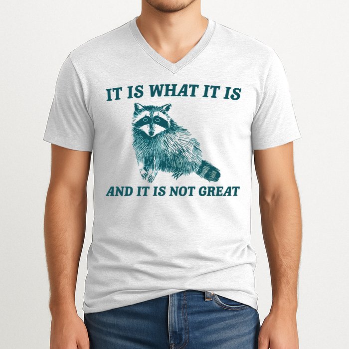 It Is What It Is And It Is Not Great V-Neck T-Shirt