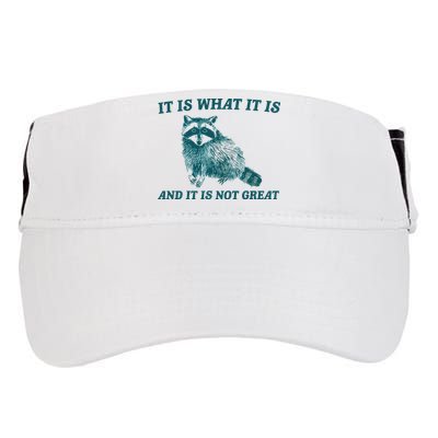 It Is What It Is And It Is Not Great Adult Drive Performance Visor