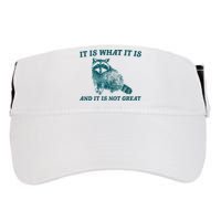 It Is What It Is And It Is Not Great Adult Drive Performance Visor