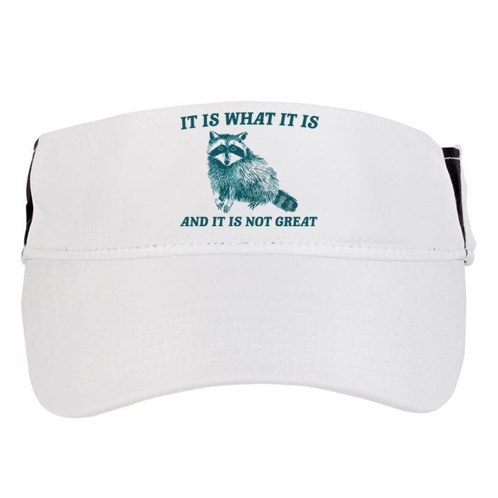 It Is What It Is And It Is Not Great Adult Drive Performance Visor