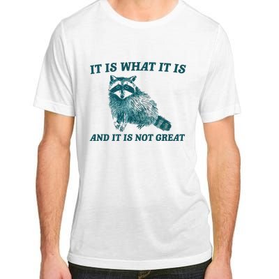 It Is What It Is And It Is Not Great Adult ChromaSoft Performance T-Shirt