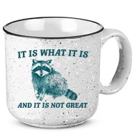 It Is What It Is And It Is Not Great 15oz Campfire Ceramic Mug