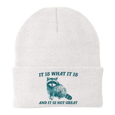 It Is What It Is And It Is Not Great Knit Cap Winter Beanie
