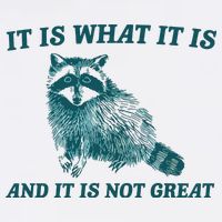 It Is What It Is And It Is Not Great Knit Cap Winter Beanie