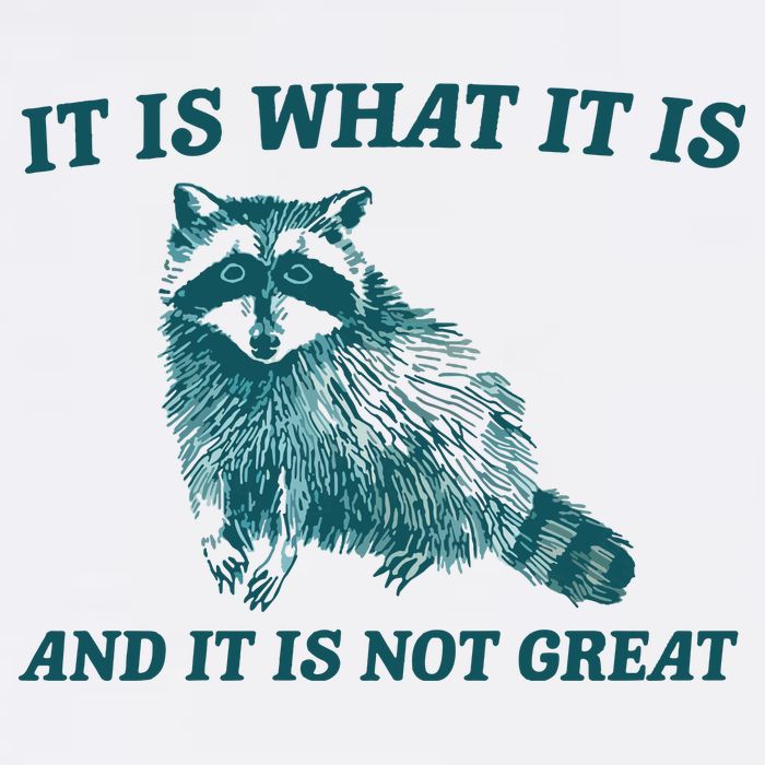 It Is What It Is And It Is Not Great Knit Cap Winter Beanie