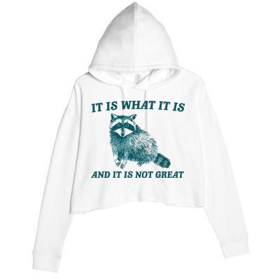 It Is What It Is And It Is Not Great Crop Fleece Hoodie