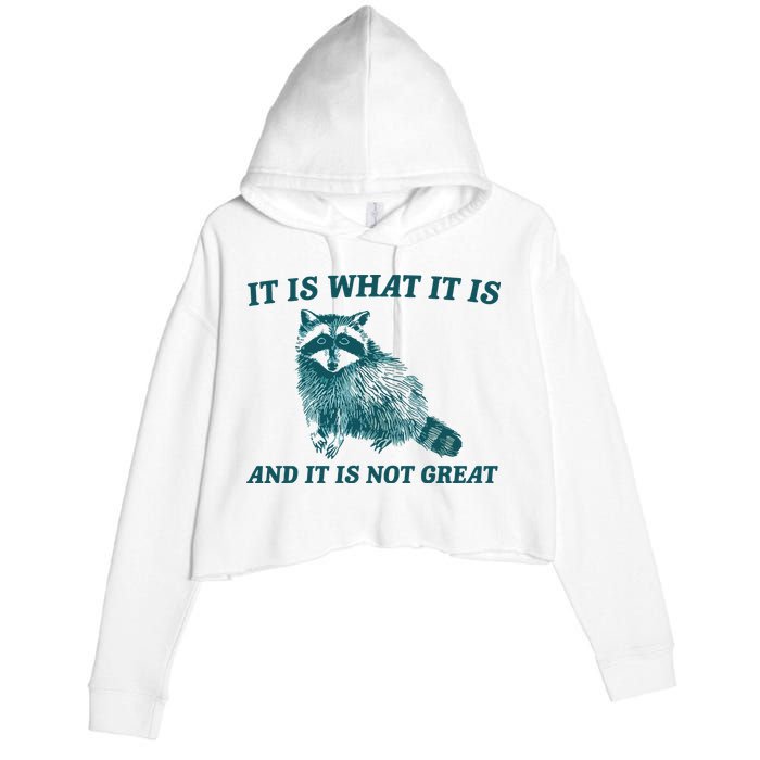 It Is What It Is And It Is Not Great Crop Fleece Hoodie
