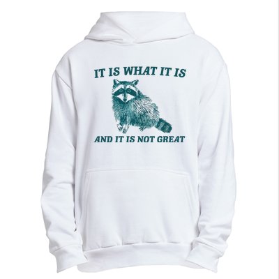 It Is What It Is And It Is Not Great Urban Pullover Hoodie