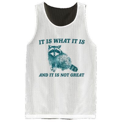 It Is What It Is And It Is Not Great Mesh Reversible Basketball Jersey Tank