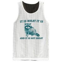 It Is What It Is And It Is Not Great Mesh Reversible Basketball Jersey Tank