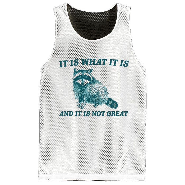 It Is What It Is And It Is Not Great Mesh Reversible Basketball Jersey Tank