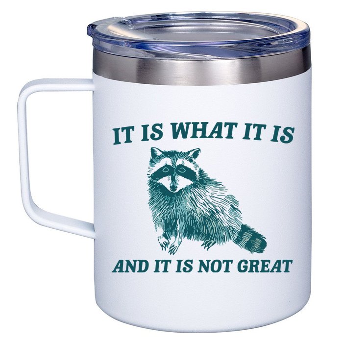 It Is What It Is And It Is Not Great 12oz Stainless Steel Coffee Mug