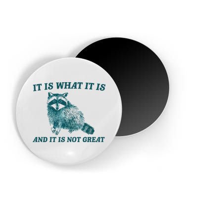 It Is What It Is And It Is Not Great Magnet