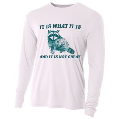 It Is What It Is And It Is Not Great Cooling Performance Long Sleeve Crew