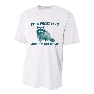 It Is What It Is And It Is Not Great Youth Performance Sprint T-Shirt