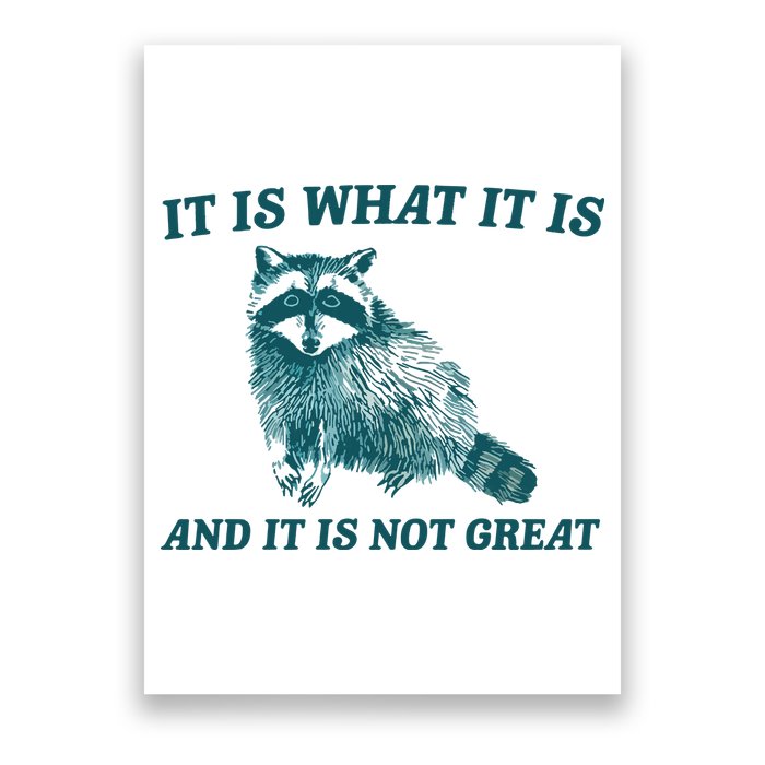 It Is What It Is And It Is Not Great Poster