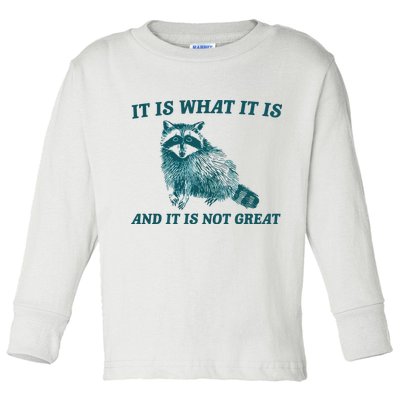 It Is What It Is And It Is Not Great Toddler Long Sleeve Shirt