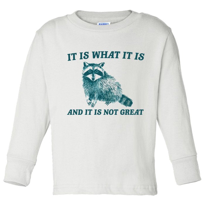 It Is What It Is And It Is Not Great Toddler Long Sleeve Shirt