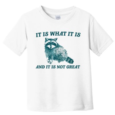 It Is What It Is And It Is Not Great Toddler T-Shirt