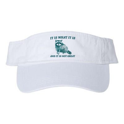 It Is What It Is And It Is Not Great Valucap Bio-Washed Visor