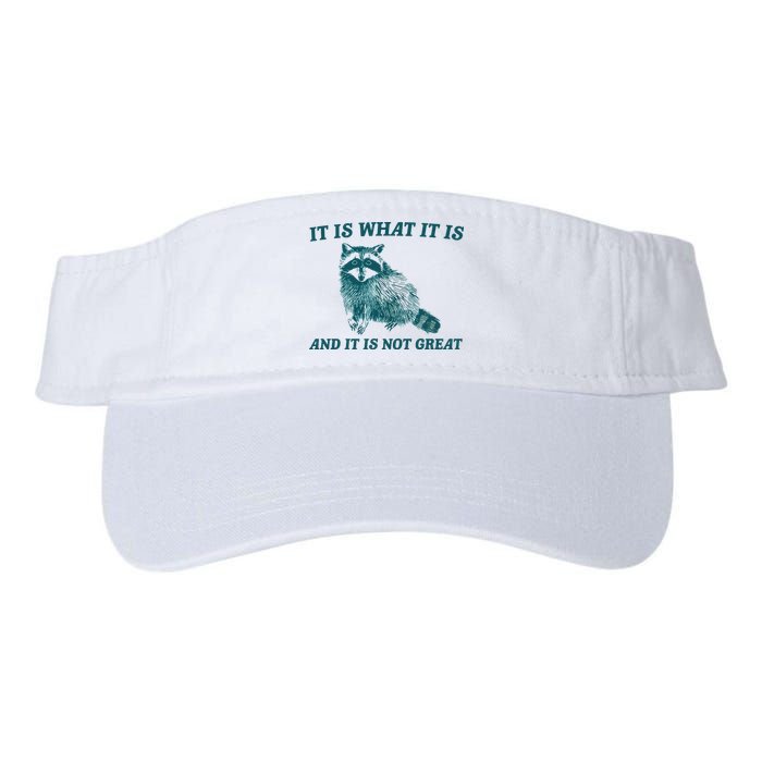 It Is What It Is And It Is Not Great Visor
