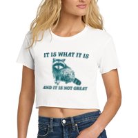 It Is What It Is And It Is Not Great Crop Top