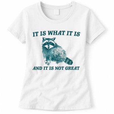 It Is What It Is And It Is Not Great Womens T-Shirt
