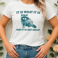 It Is What It Is And It Is Not Great Womens T-Shirt