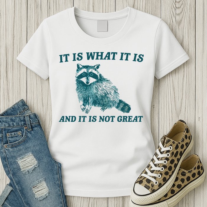 It Is What It Is And It Is Not Great Womens T-Shirt