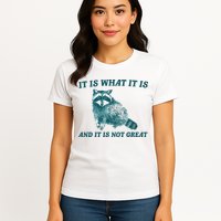 It Is What It Is And It Is Not Great Womens T-Shirt