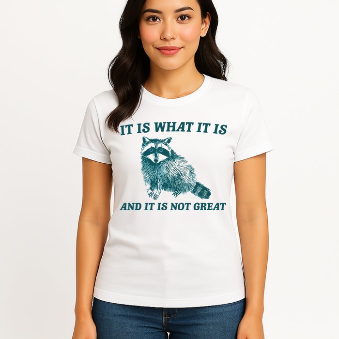 It Is What It Is And It Is Not Great Womens T-Shirt