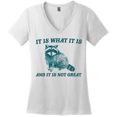 It Is What It Is And It Is Not Great Women's V-Neck T-Shirt