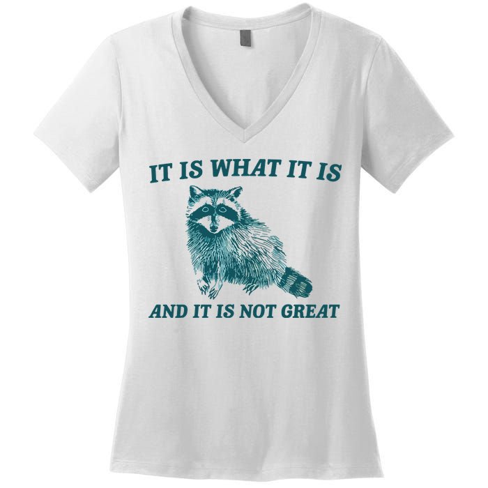 It Is What It Is And It Is Not Great Women's V-Neck T-Shirt