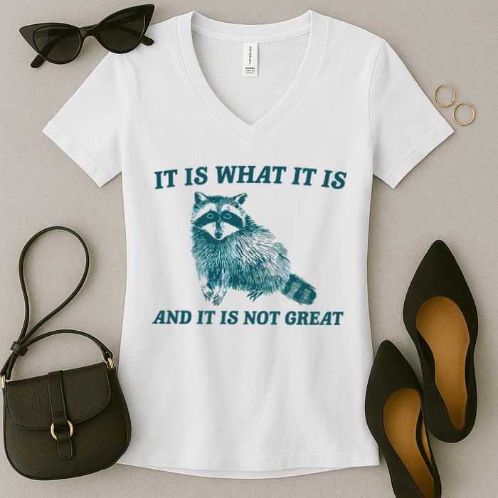 It Is What It Is And It Is Not Great Women's V-Neck T-Shirt