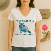 It Is What It Is And It Is Not Great Women's V-Neck T-Shirt