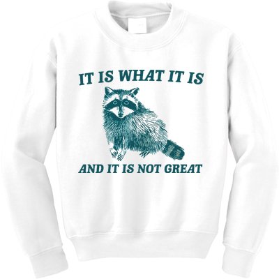 It Is What It Is And It Is Not Great Kids Sweatshirt