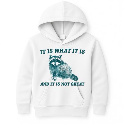 It Is What It Is And It Is Not Great Kids Hoodie