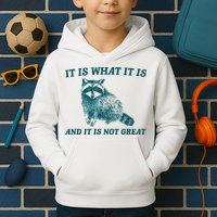 It Is What It Is And It Is Not Great Kids Hoodie