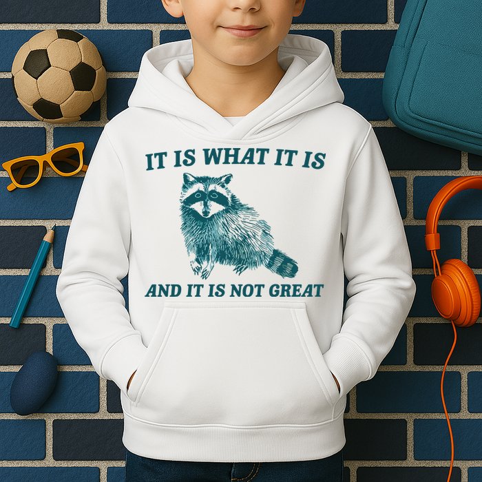 It Is What It Is And It Is Not Great Kids Hoodie