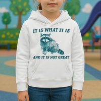It Is What It Is And It Is Not Great Kids Hoodie