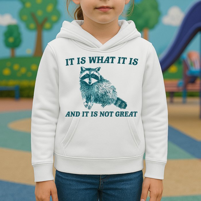 It Is What It Is And It Is Not Great Kids Hoodie