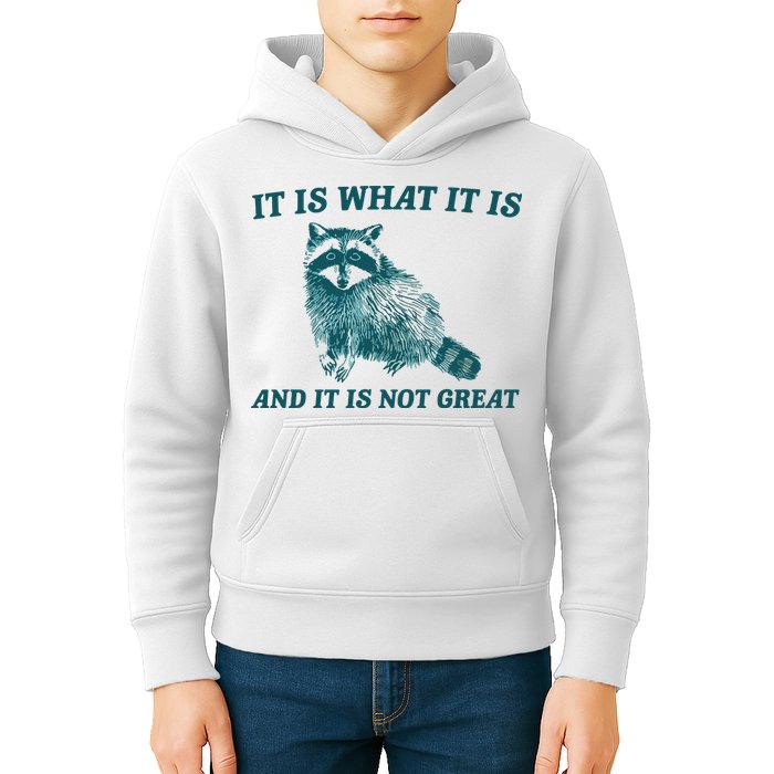 It Is What It Is And It Is Not Great Kids Hoodie