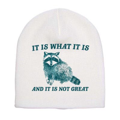 It Is What It Is And It Is Not Great Short Acrylic Beanie