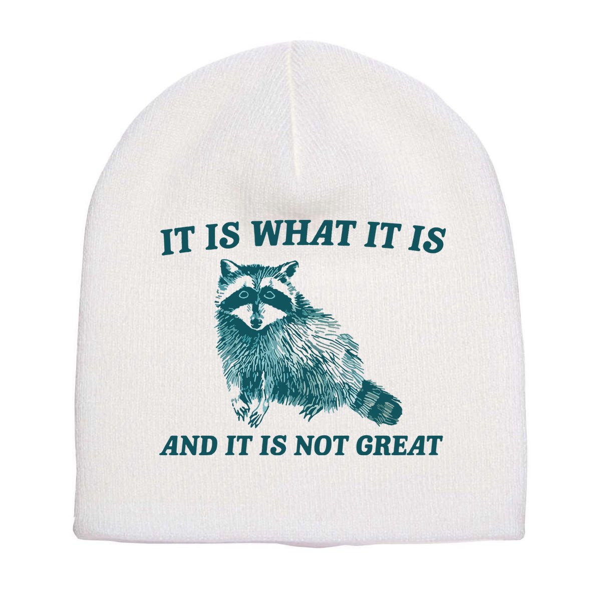 It Is What It Is And It Is Not Great Short Acrylic Beanie