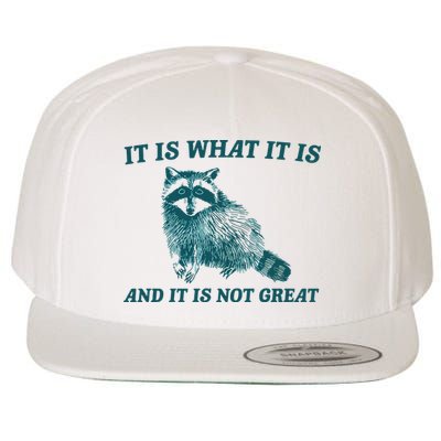 It Is What It Is And It Is Not Great Wool Snapback Cap