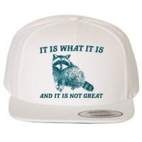 It Is What It Is And It Is Not Great Wool Snapback Cap
