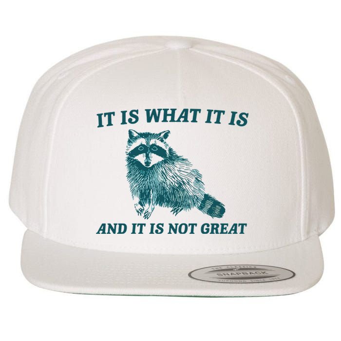 It Is What It Is And It Is Not Great Wool Snapback Cap