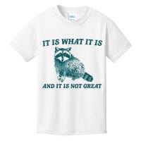 It Is What It Is And It Is Not Great Kids T-Shirt