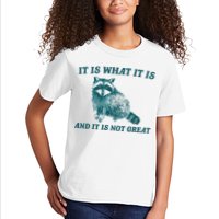 It Is What It Is And It Is Not Great Kids T-Shirt